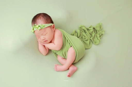 商丘陕西助孕公司名单揭晓助孕行业新动向